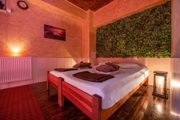 Premium business hotel (Bratislava)